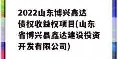 2022山东博兴鑫达债权收益权项目(山东省博兴县鑫达建设投资开发有限公司)