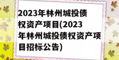 2023年林州城投债权资产项目(2023年林州城投债权资产项目招标公告)