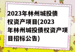 2023年林州城投债权资产项目(2023年林州城投债权资产项目招标公告)