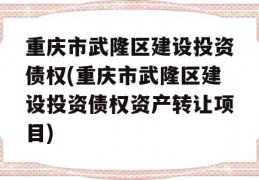 重庆市武隆区建设投资债权(重庆市武隆区建设投资债权资产转让项目)