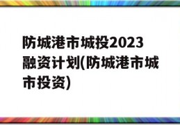 防城港市城投2023融资计划(防城港市城市投资)