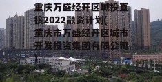 重庆万盛经开区城投直接2022融资计划(重庆市万盛经开区城市开发投资集团有限公司)