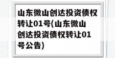 山东微山创达投资债权转让01号(山东微山创达投资债权转让01号公告)