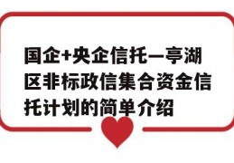 国企+央企信托—亭湖区非标政信集合资金信托计划的简单介绍