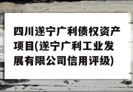 四川遂宁广利债权资产项目(遂宁广利工业发展有限公司信用评级)