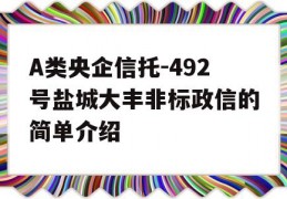 A类央企信托-492号盐城大丰非标政信的简单介绍