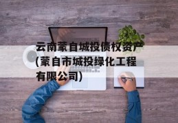 云南蒙自城投债权资产(蒙自市城投绿化工程有限公司)