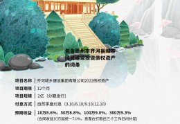 包含德州市齐河县城市经营建设投资债权资产的词条