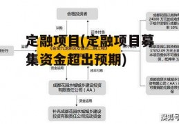 定融项目(定融项目募集资金超出预期)