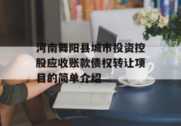 河南舞阳县城市投资控股应收账款债权转让项目的简单介绍