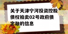 关于天津宁河投资控股债权拍卖02号政府债定融的信息