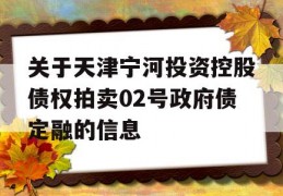 关于天津宁河投资控股债权拍卖02号政府债定融的信息