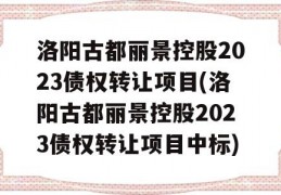 洛阳古都丽景控股2023债权转让项目(洛阳古都丽景控股2023债权转让项目中标)