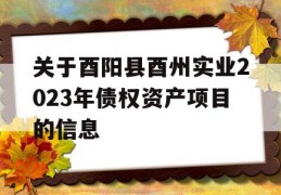 关于酉阳县酉州实业2023年债权资产项目的信息