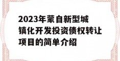 2023年蒙自新型城镇化开发投资债权转让项目的简单介绍