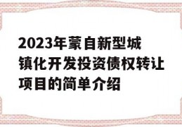 2023年蒙自新型城镇化开发投资债权转让项目的简单介绍