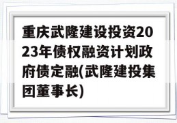 重庆武隆建设投资2023年债权融资计划政府债定融(武隆建投集团董事长)