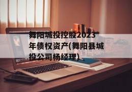舞阳城投控股2023年债权资产(舞阳县城投公司杨经理)