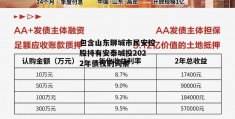 包含山东聊城市民安控股持有安泰城投2022年债权的词条