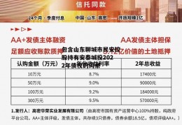 包含山东聊城市民安控股持有安泰城投2022年债权的词条