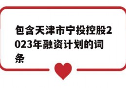 包含天津市宁投控股2023年融资计划的词条