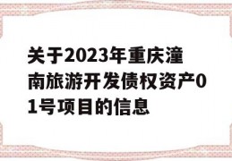 关于2023年重庆潼南旅游开发债权资产01号项目的信息