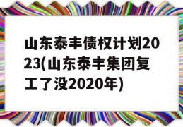 山东泰丰债权计划2023(山东泰丰集团复工了没2020年)