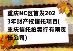 重庆NC区首发2023年财产权信托项目(重庆信托拍卖行有限责任公司)