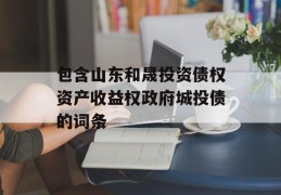 包含山东和晟投资债权资产收益权政府城投债的词条