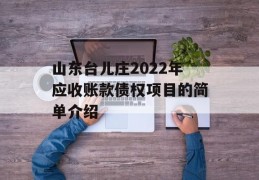 山东台儿庄2022年应收账款债权项目的简单介绍