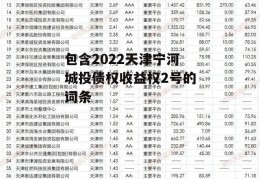 包含2022天津宁河城投债权收益权2号的词条