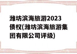 潍坊滨海旅游2023债权(潍坊滨海旅游集团有限公司评级)