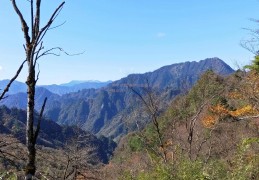 阴平古道(阴平古道还能走吗)