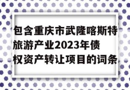 包含重庆市武隆喀斯特旅游产业2023年债权资产转让项目的词条