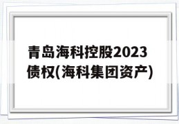 青岛海科控股2023债权(海科集团资产)