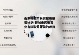 山东聊城市民安控股融资计划(聊城市民安置业有限公司开发的项目)