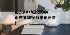 山东AA+城投债券(山东某城投为发企业债)