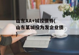 山东AA+城投债券(山东某城投为发企业债)