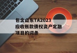 包含山东TA2023应收账款债权资产定融项目的词条