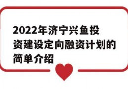 2022年济宁兴鱼投资建设定向融资计划的简单介绍