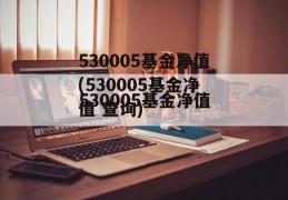 530005基金净值(530005基金净值 查询)