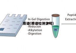 质谱(质谱检测公司)