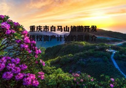 重庆市白马山旅游开发债权资产计划的简单介绍