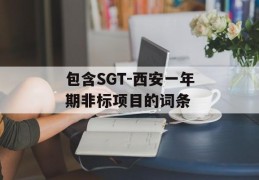 包含SGT-西安一年期非标项目的词条