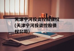 天津宁河投资控股债权(天津宁河投资控股债权公司)