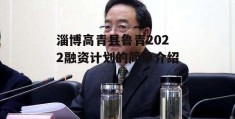 淄博高青县鲁青2022融资计划的简单介绍