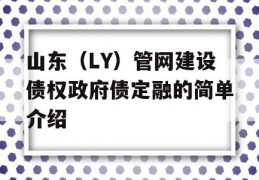 山东（LY）管网建设债权政府债定融的简单介绍