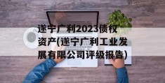 遂宁广利2023债权资产(遂宁广利工业发展有限公司评级报告)