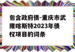 包含政府债-重庆市武隆喀斯特2023年债权项目的词条