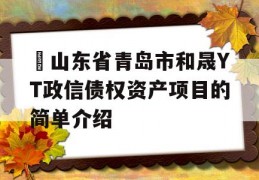 ​山东省青岛市和晟YT政信债权资产项目的简单介绍